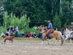 _DSC8245_web